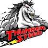Instructor ThunderSteed Ltd.