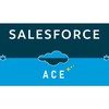 Instructor Salesforce Ace