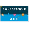 Salesforce Ace