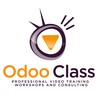 Instructor Odoo Class Videos