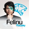 Instructor Felinu Academy