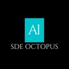 Instructor SDE OCTOPUS | AI