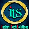 Instructor Indomitech Solutions