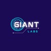 Instructor GIANT Labs
