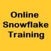 Instructor Online Snowflake Training