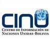 Instructor Naciones Unidas Bolivia