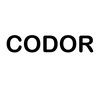 Instructor 株式会社 CODOR