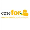 Fundación Cesefor