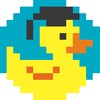 Instructor Duckademy IT courses