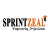 Instructor Sprintzeal Americas Inc.