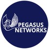 Instructor Pegasus Networks
