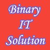 Instructor Binary IT Solution