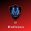Instructor IT Mindfulness Academy