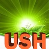 Instructor Up Strive Hub