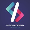 Instructor CodeIn Academy