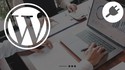 Advanced WordPress Plugin Development - TailwindCSS, Webpack