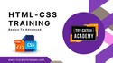 Website Development : Beginner To Advanced | HTML & CSS