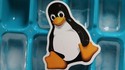 Linux Command Line Course for Cyber Security and Pentesting