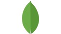 MongoDb Introduction course.