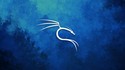 Kali Linux For Beginners 1 [Arabic]