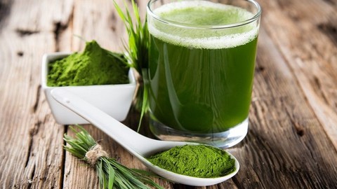 Wheatgrass: How to Grow and Juice A Superfood in 7 Days