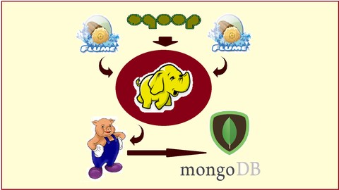 Build Big Data Pipelines w/ Hadoop, Flume, Pig, MongoDB