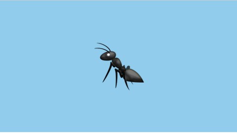 The Complete Apache Ant Bootcamp
