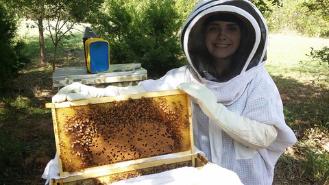 Beekeeping for Beginners: How to Be a Successful Beekeeper!