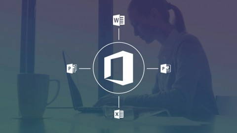 The Ultimate Microsoft Office 2013 Training Bundle 71 Hours