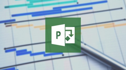 The Ultimate Microsoft Project 2013 Training Bundle 19 Hours