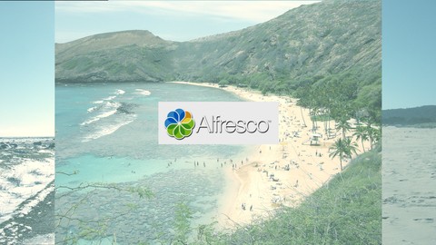 Alfresco - Introduction to the Company and its Products