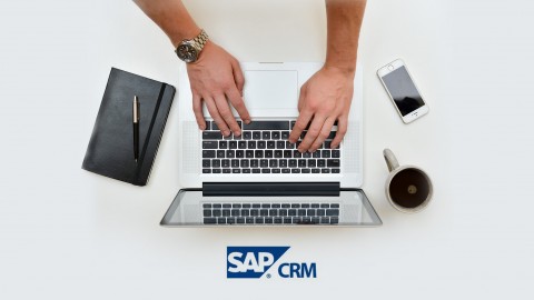 SAP CRM 7.0 CR100