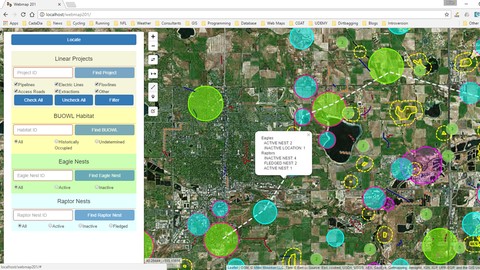 Display and analyze GIS data on the web with Leaflet