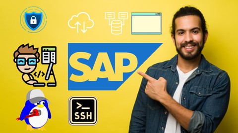 SAP BASIS Netweaver - Administração de Sistemas SAP Dominado