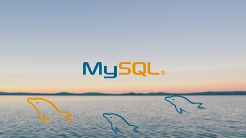MySQL Database Training for Beginners