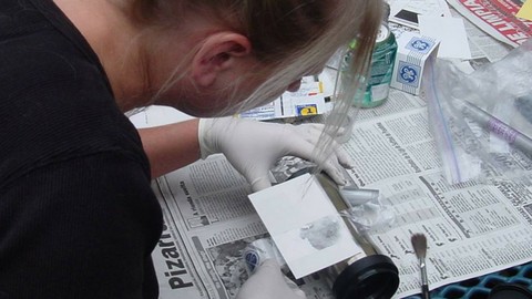 10 Ways to Get The Forensic Job You Want--Student Edition