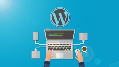 Become a WordPress Developer From Scratch