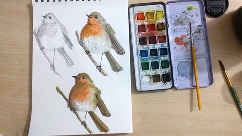 Sketchbook Everyday: Painting Birds in Watercolor