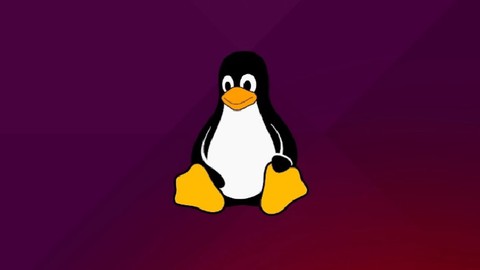 Linux Network Administration and Services Deployment