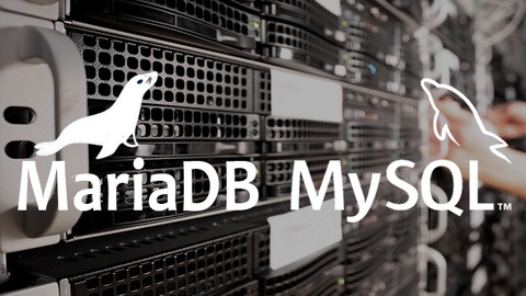 MySQL MariaDB From Scratch - Become an App Developer in 2022
