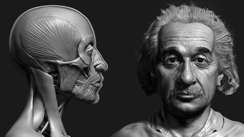 Zbrush Facial Anatomy and Likeness Character Sculpting