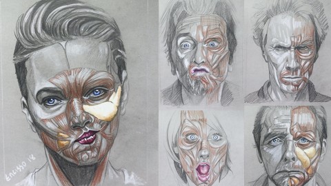 The Face Anatomy Drawing Course: Anatomy To Render