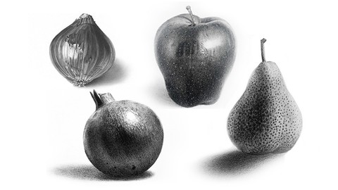 Masterclass of Realistic Pencil sketching-How to draw fruits