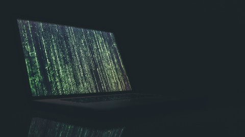Web Security and Hacking for Beginners
