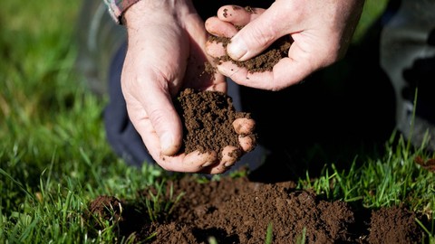 Introduction to Building Better Soils