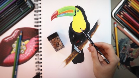 The Ultimate Photorealistic Drawing Course