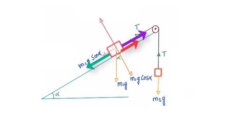 Physics: Newton's Laws of Motion (AP Physics, IIT JEE, NEET)