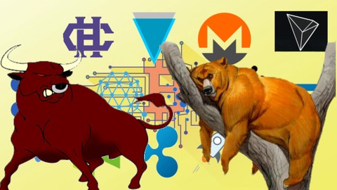 Altcoin Crypto ( Master Class ) Bull Run or Bear Market