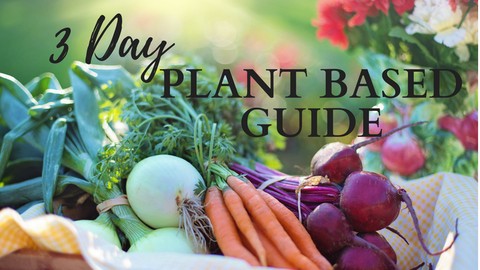 Your Complete 3 Day Guide to a Plant Based/Vegan Lifestyle