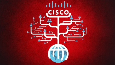 Cisco Networking CCNA OSPF